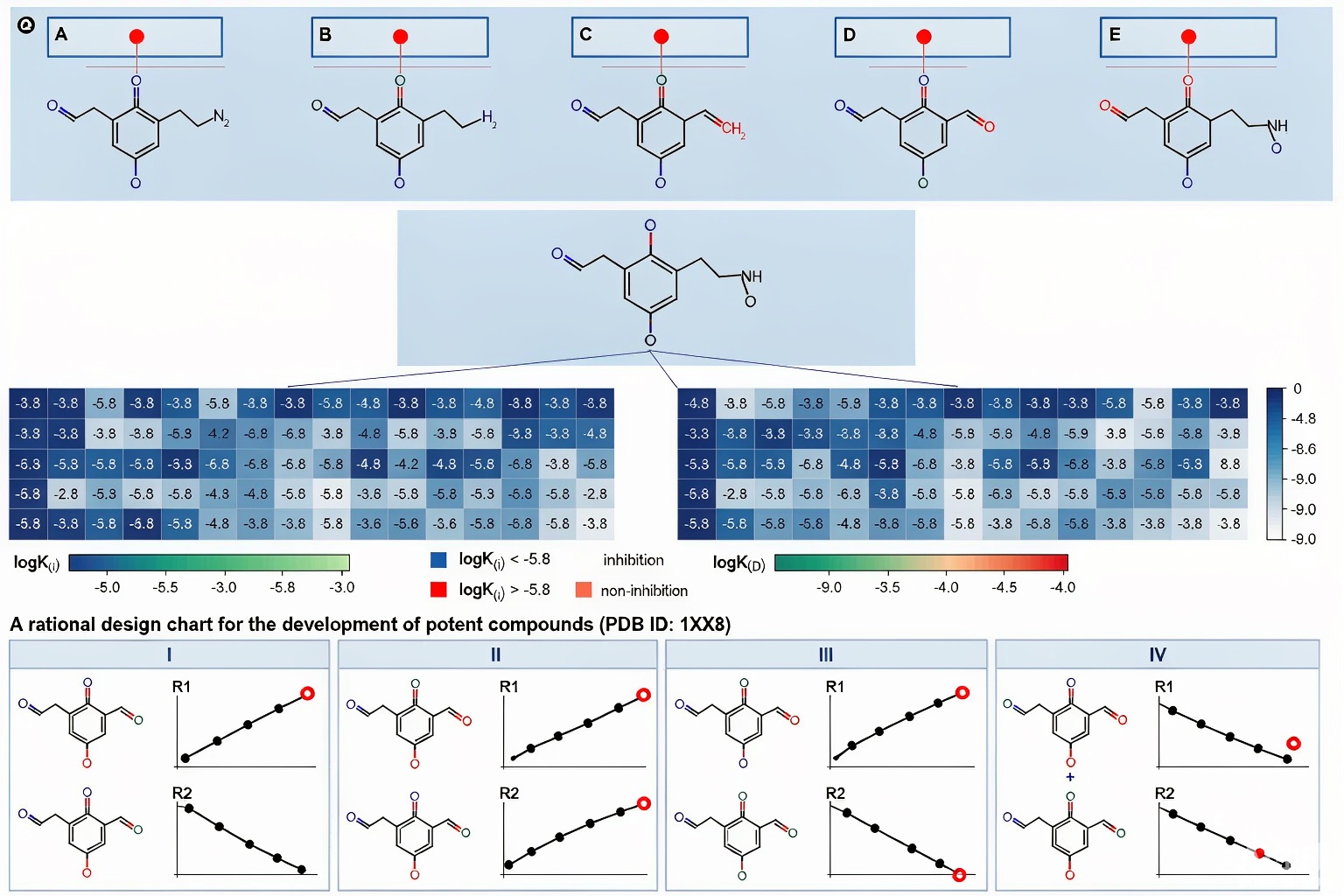 saponin structure activity research
