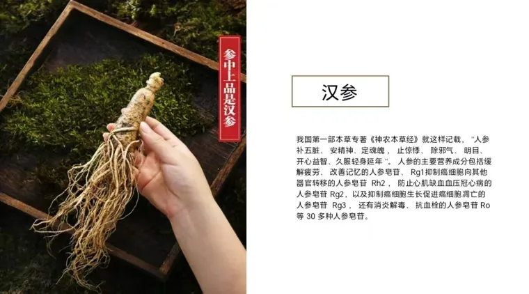人参