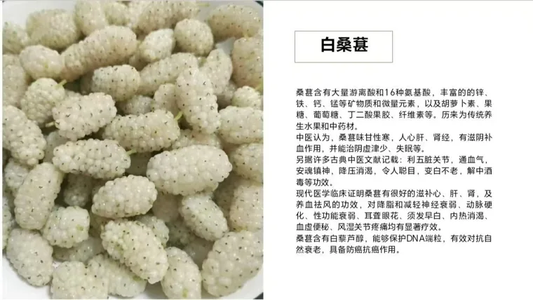 白桑葚