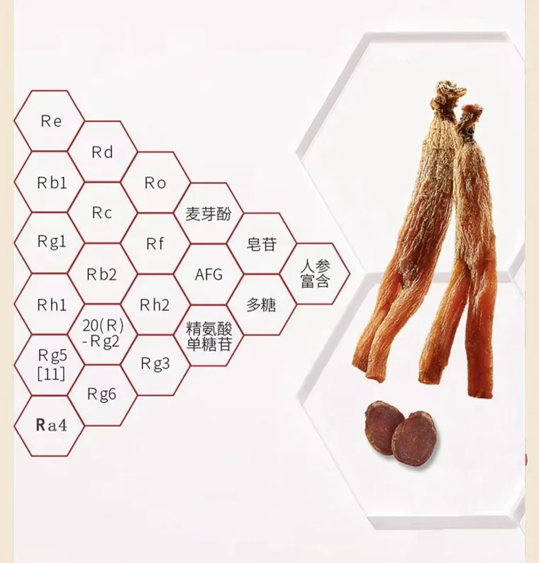 人参成分图示