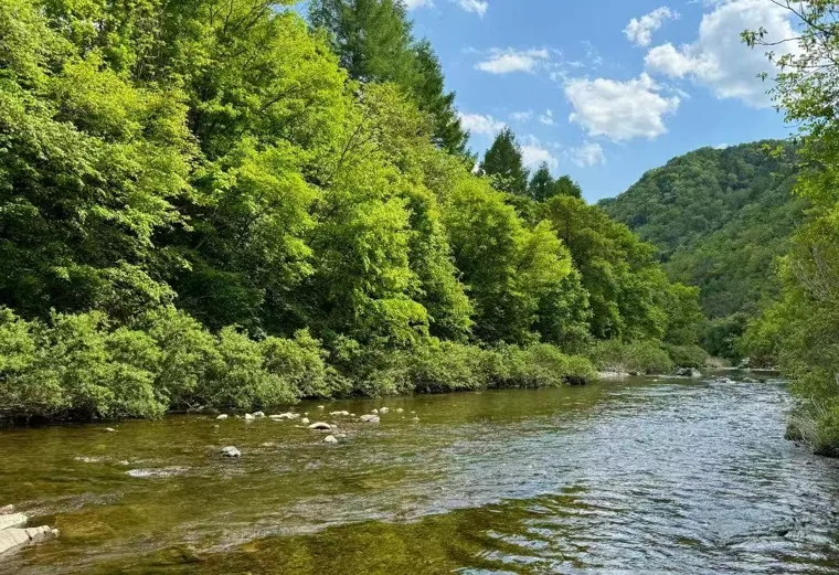 山林与水系